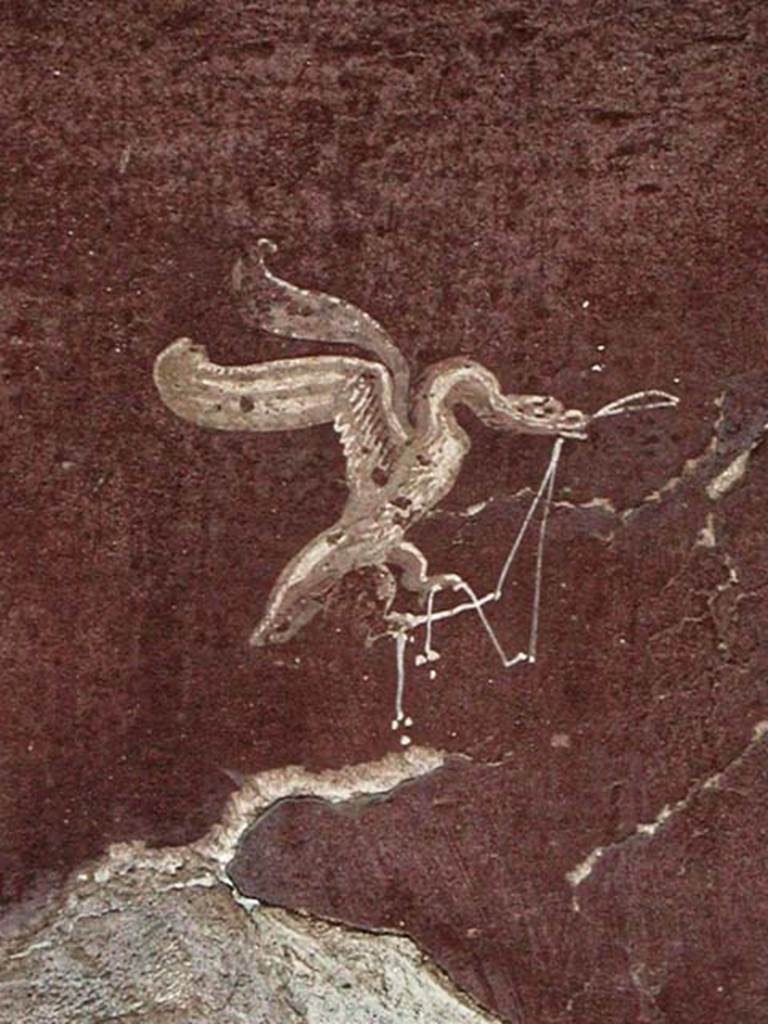 A picture containing animal, outdoor, ground
Description generated with high confidence